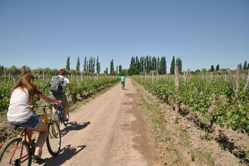 mendoza argentine vignobles vin bodega