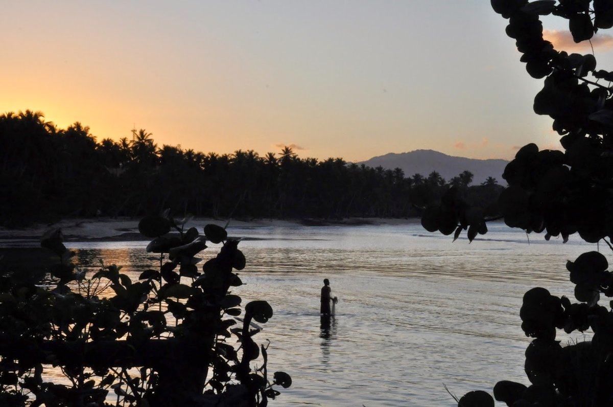 Pêcheur au filet, Playa Grande, Las Galeras