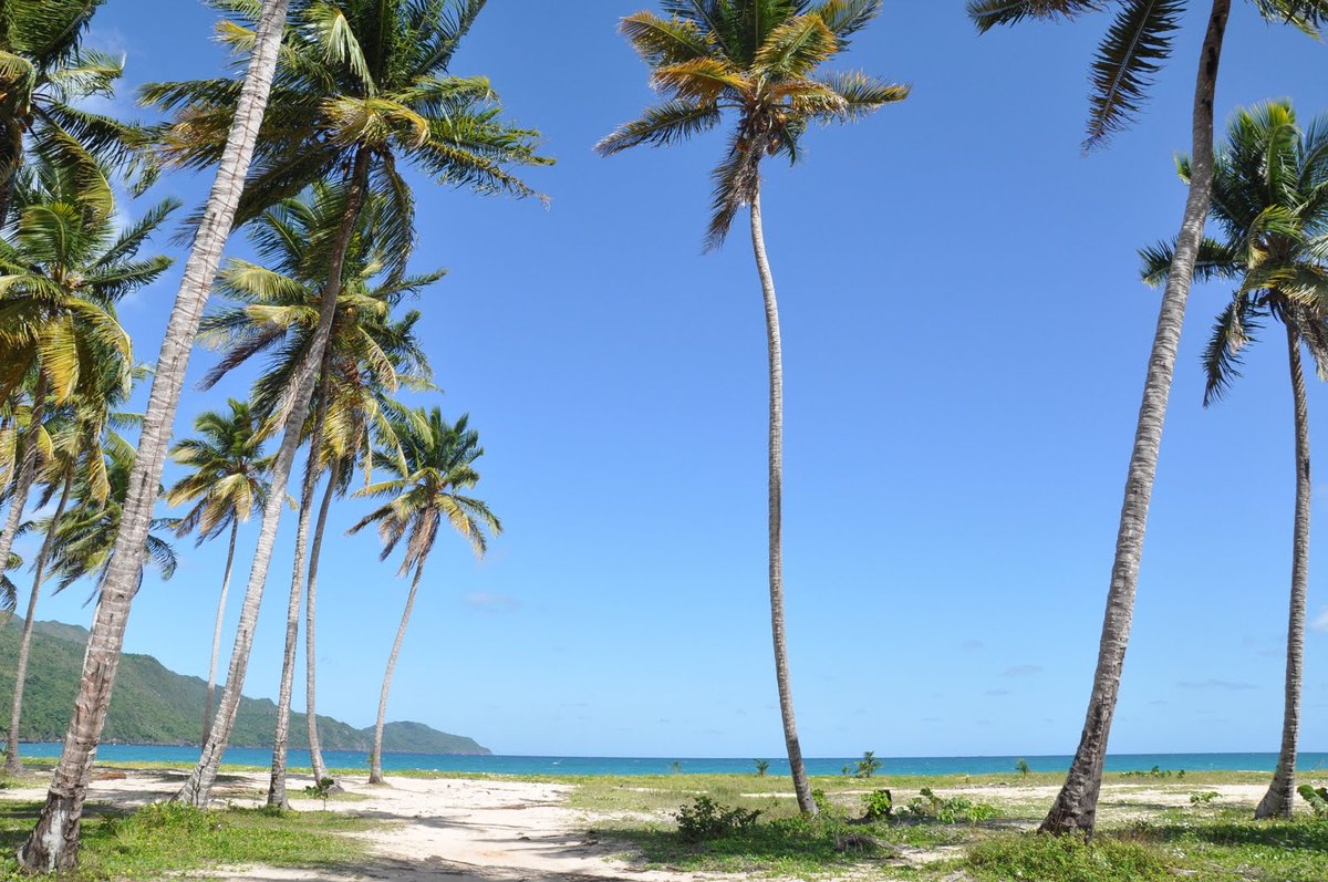 Playa Rincón, Las Galeras 2003