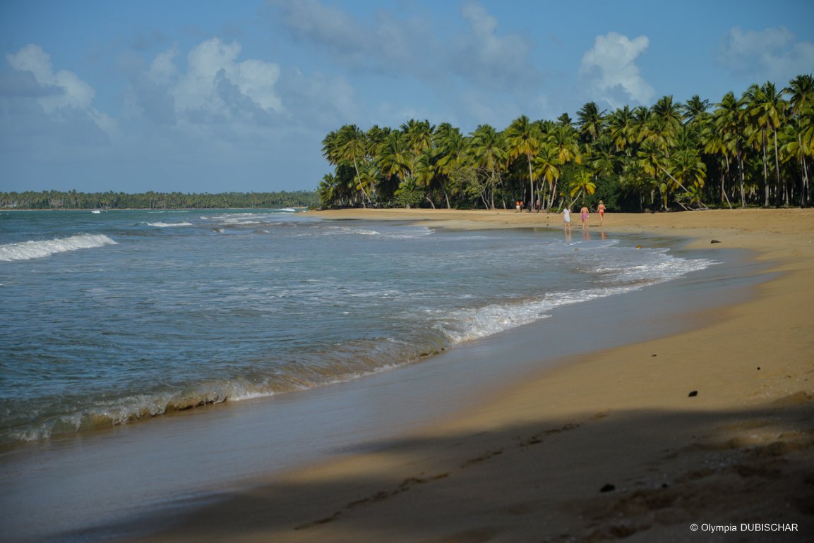 Playa Cosón, République dominicaine