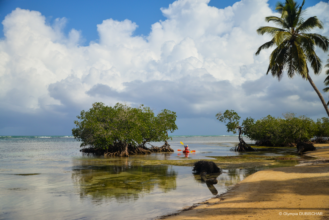 Les 10 Meilleurs Hôtels à Las Terrenas - OlympiaOnBoard, Voyages Et Rép ...