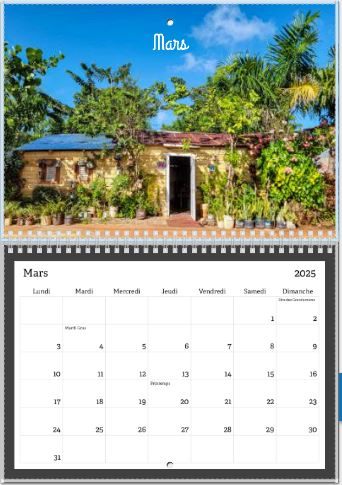 calendrier original photos olympia dubischar dominicaine